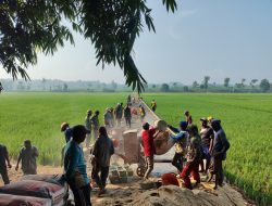 Warga Dusun Sabah Kompak Bangun Jalan Sawah Lewat Gotong Royong