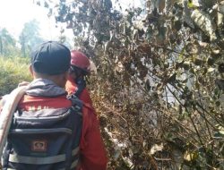 Ancaman Karhutla Meningkat, BPBD Kayong Utara Serukan Pembakaran Terkendali