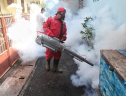 Empat Warga Sukadana Terkena DBD, Pemdes Lakukan Fogging Massal