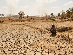 BMKG Prediksi Musim Kemarau 2026 di Jabar Datang Lebih Cepat